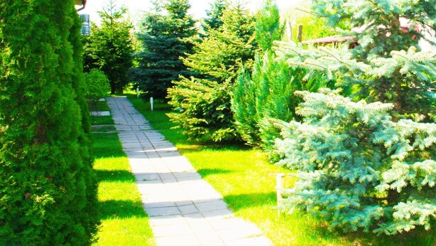 BBQ/picnic area - Apartamenty Komfort (Augustow)