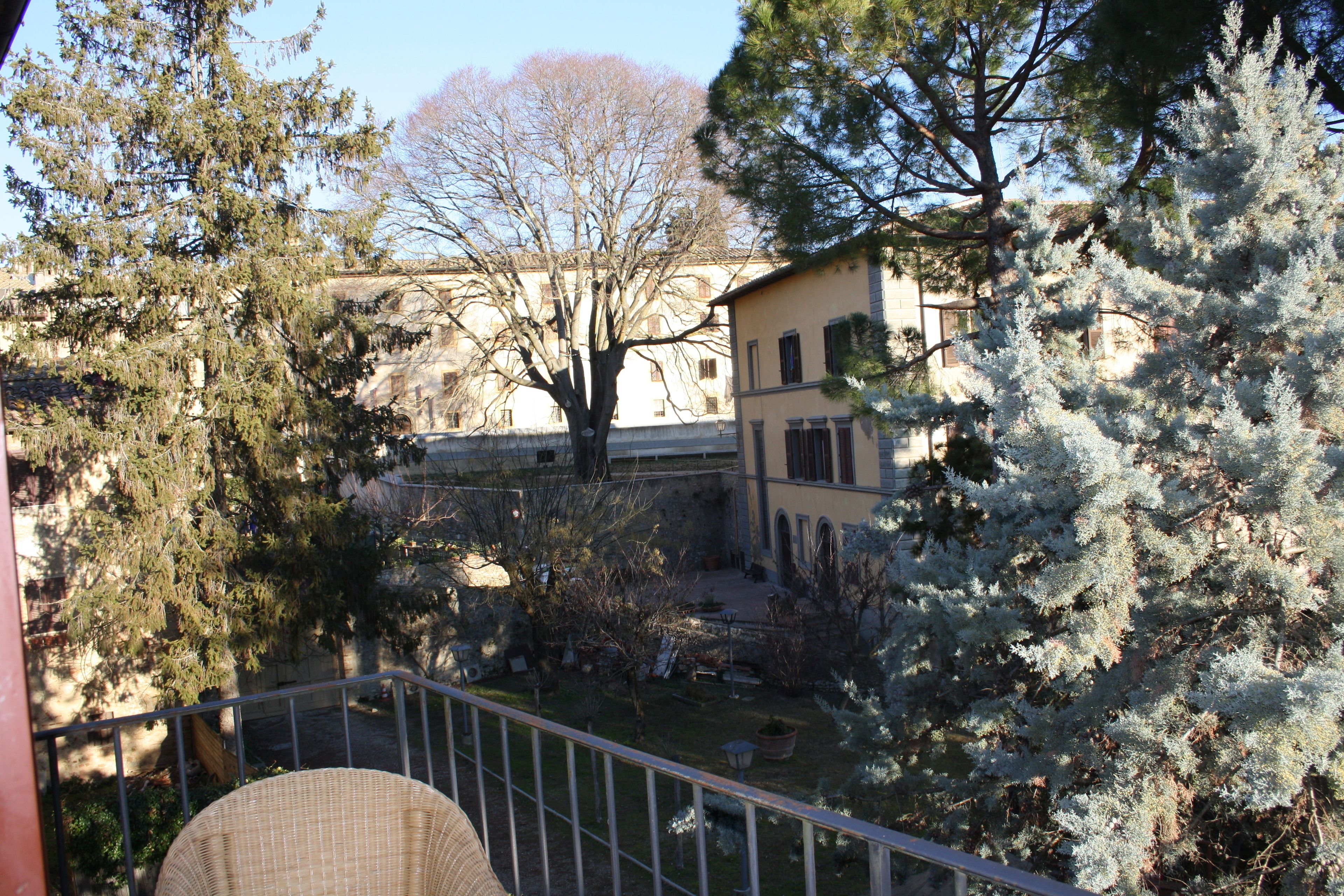 Photo - Donna Nobile