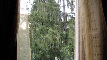 ์ปดํฌํธ ํธ๋ฆฌํ๋ฃธ | ๊ฐ์ค์์ ๋ณด์ด๋ ์ ๋ง