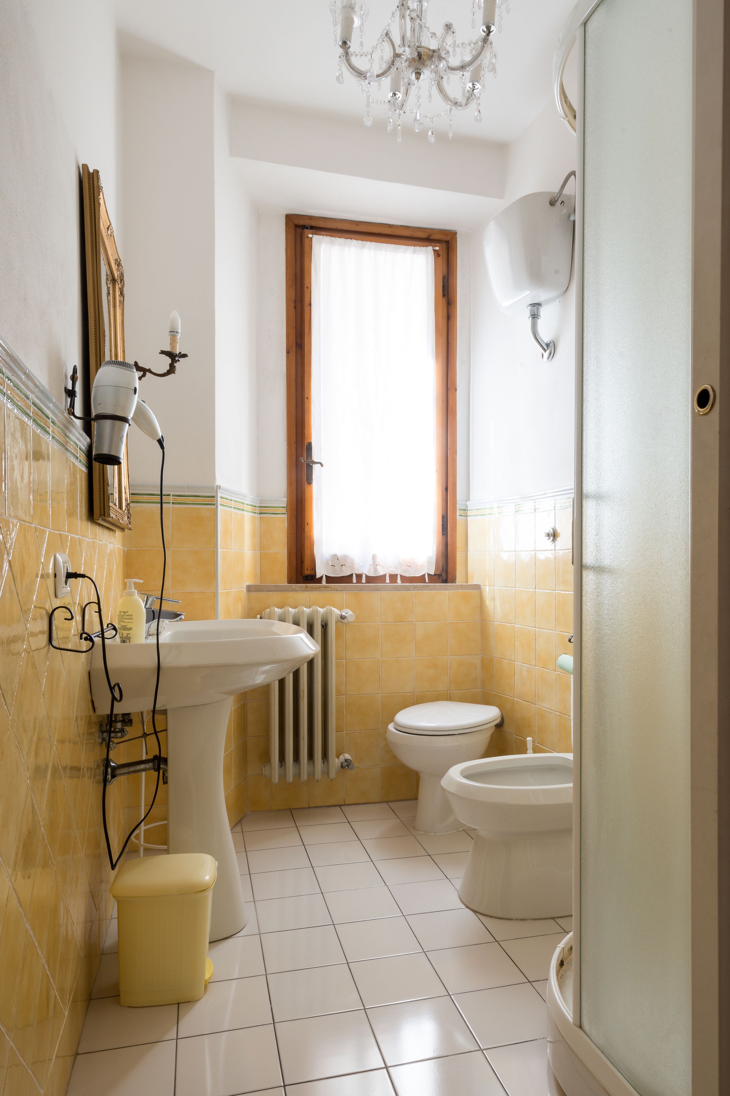 Photo - Donna Nobile