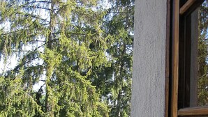 A view from a window overlooking a forested area with a clear sky. - Donna Nobile (San Gimignano)