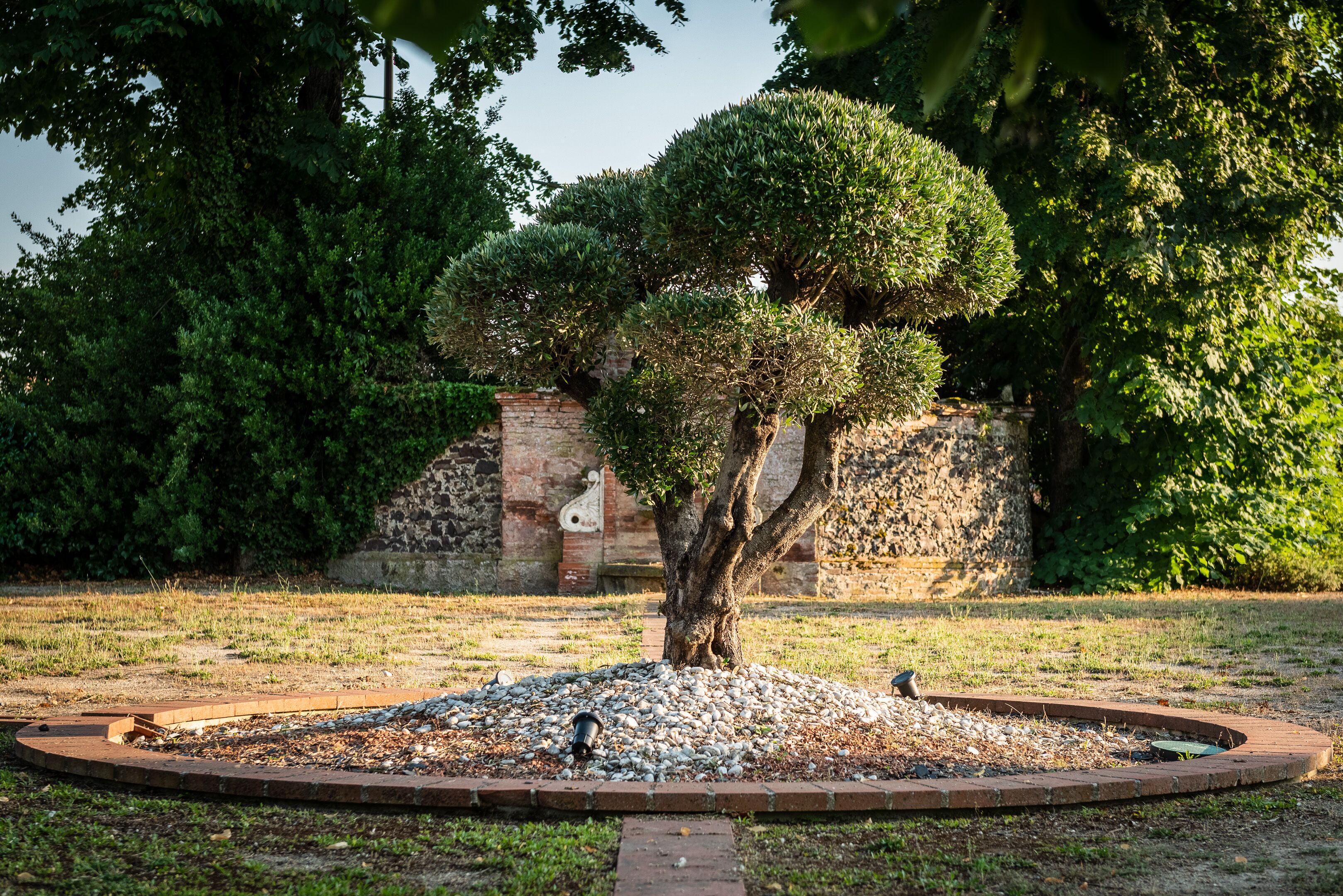 A landscaped garden with a central tree, surrounded by a brick border and a gravel area.