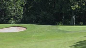 Players can tee off from the well-manicured course surrounded by lush trees.
