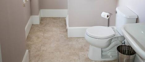 A bathroom with a toilet, a sink, and a trash can.