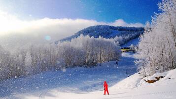 A snowy landscape with a person in red, trees, and a mountain in the background.