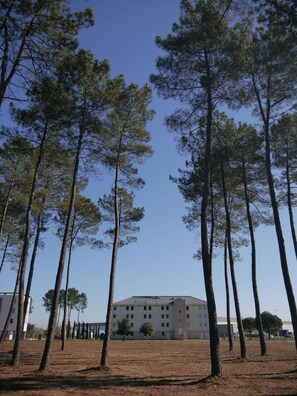 Exterior - Kyriad Direct Mont De Marsan - St Avit (Saint-Avit)