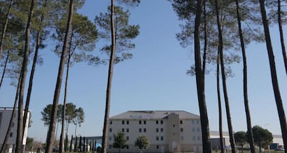 Kyriad Direct Mont De Marsan - St Avit