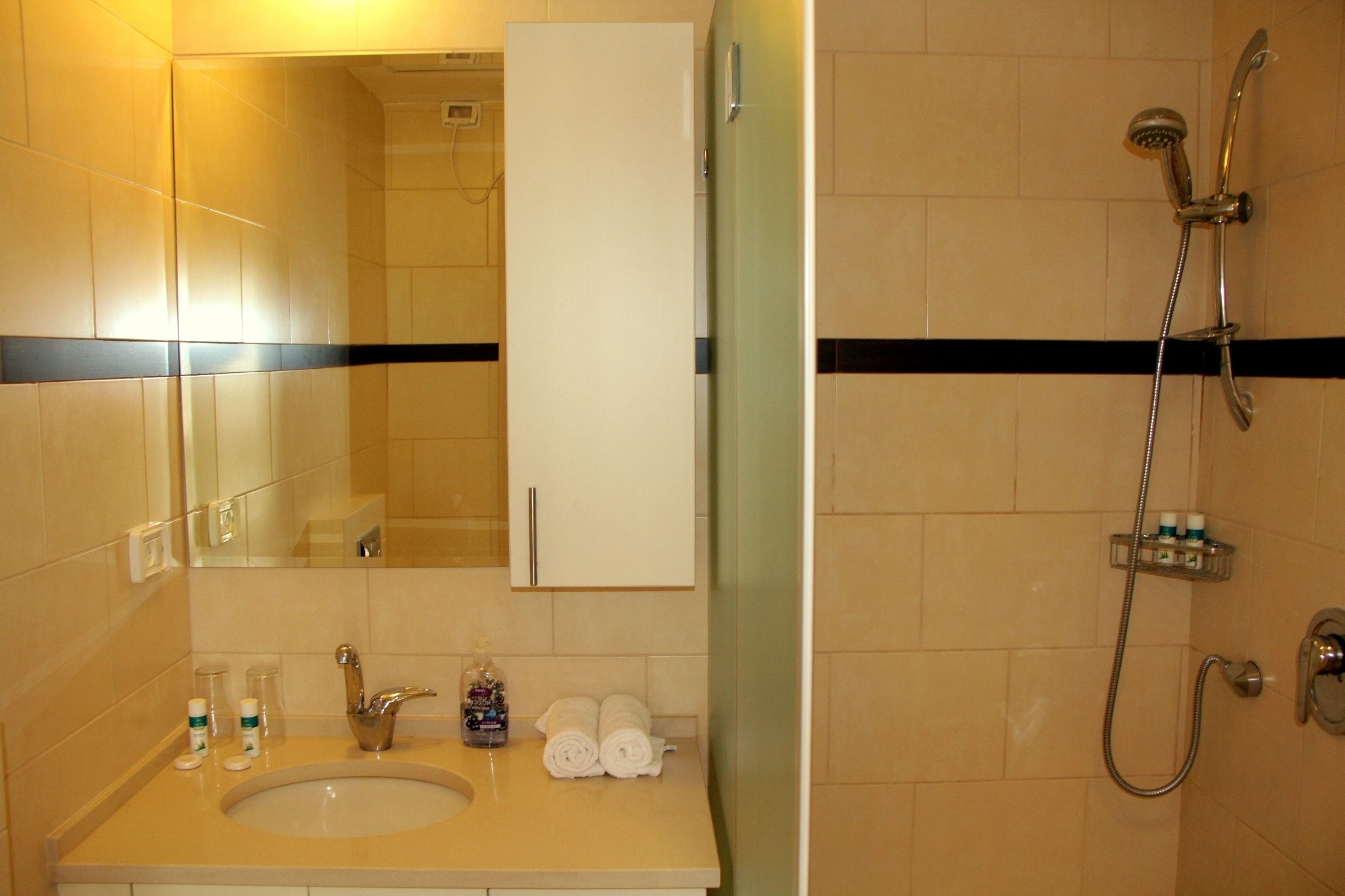 A bathroom with a sink, mirror, cabinet, and shower.