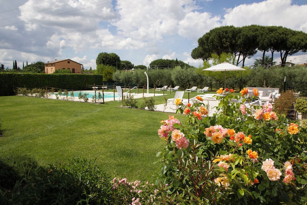 Rosa di Assisi