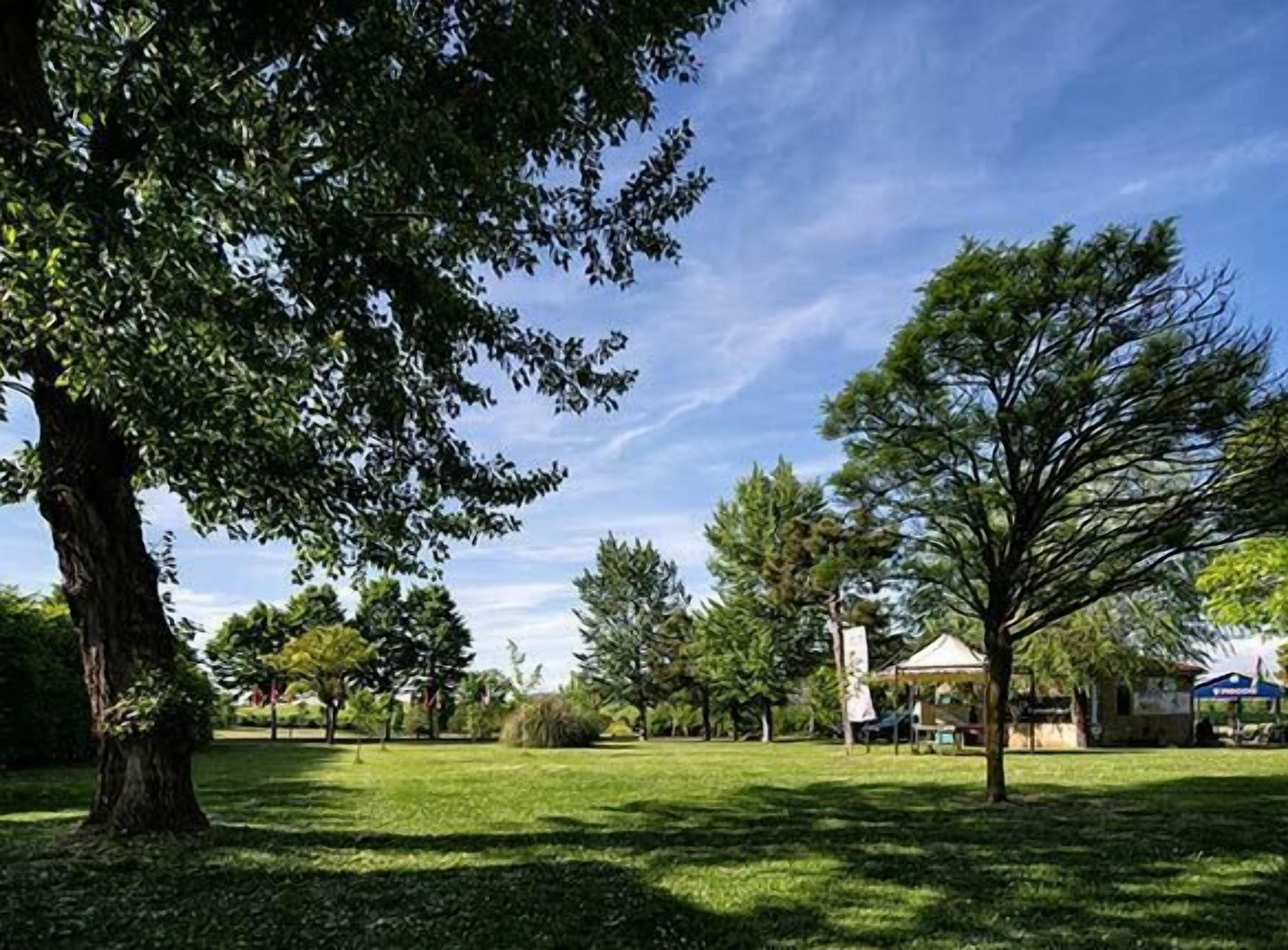 Een park met een kiosk, bomen en een heldere lucht.