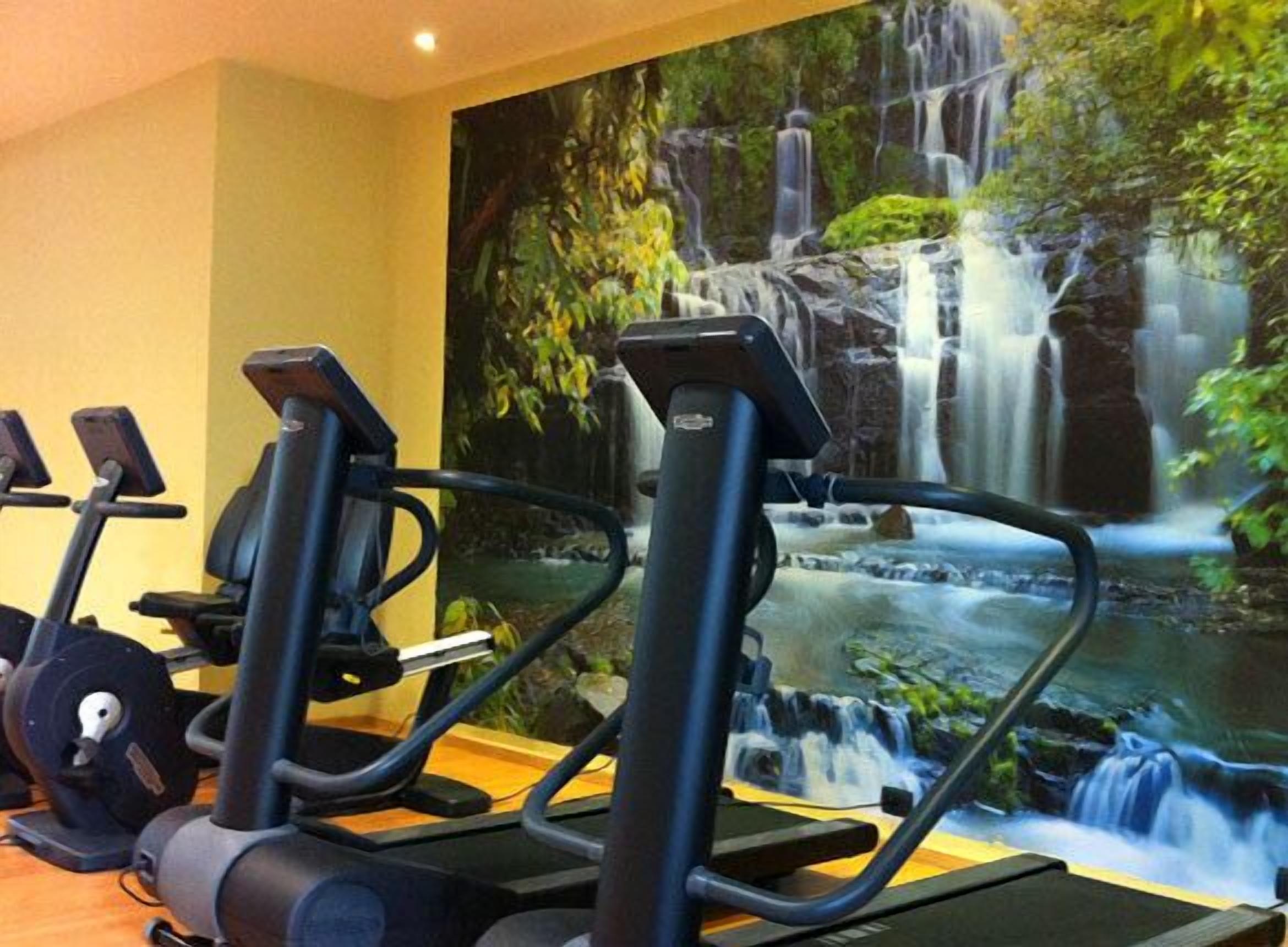 File di cyclette in palestra, con un murale raffigurante una cascata sullo sfondo.