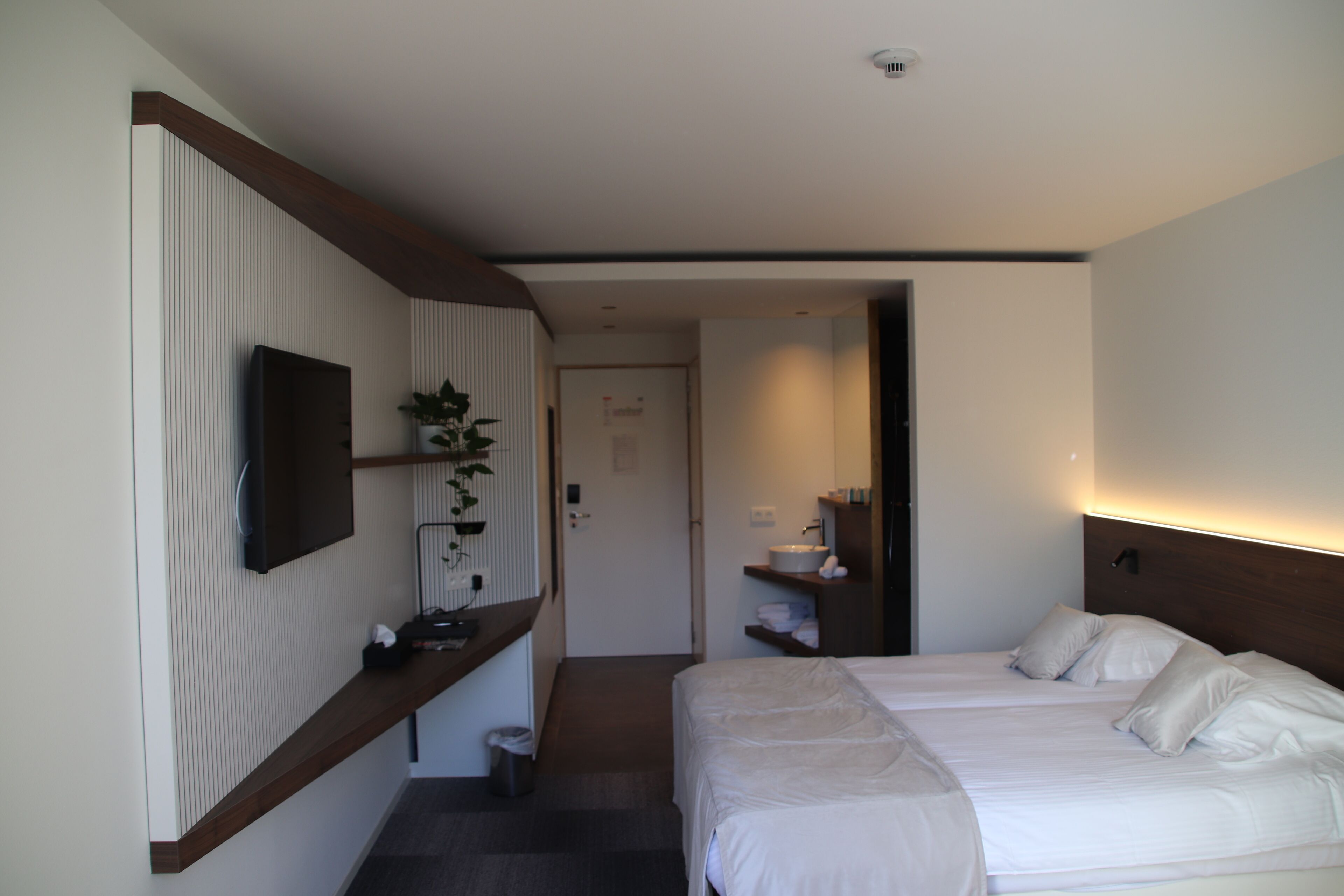 A hotel room with two beds, a TV mounted on the wall, a small plant, and a bedside table.