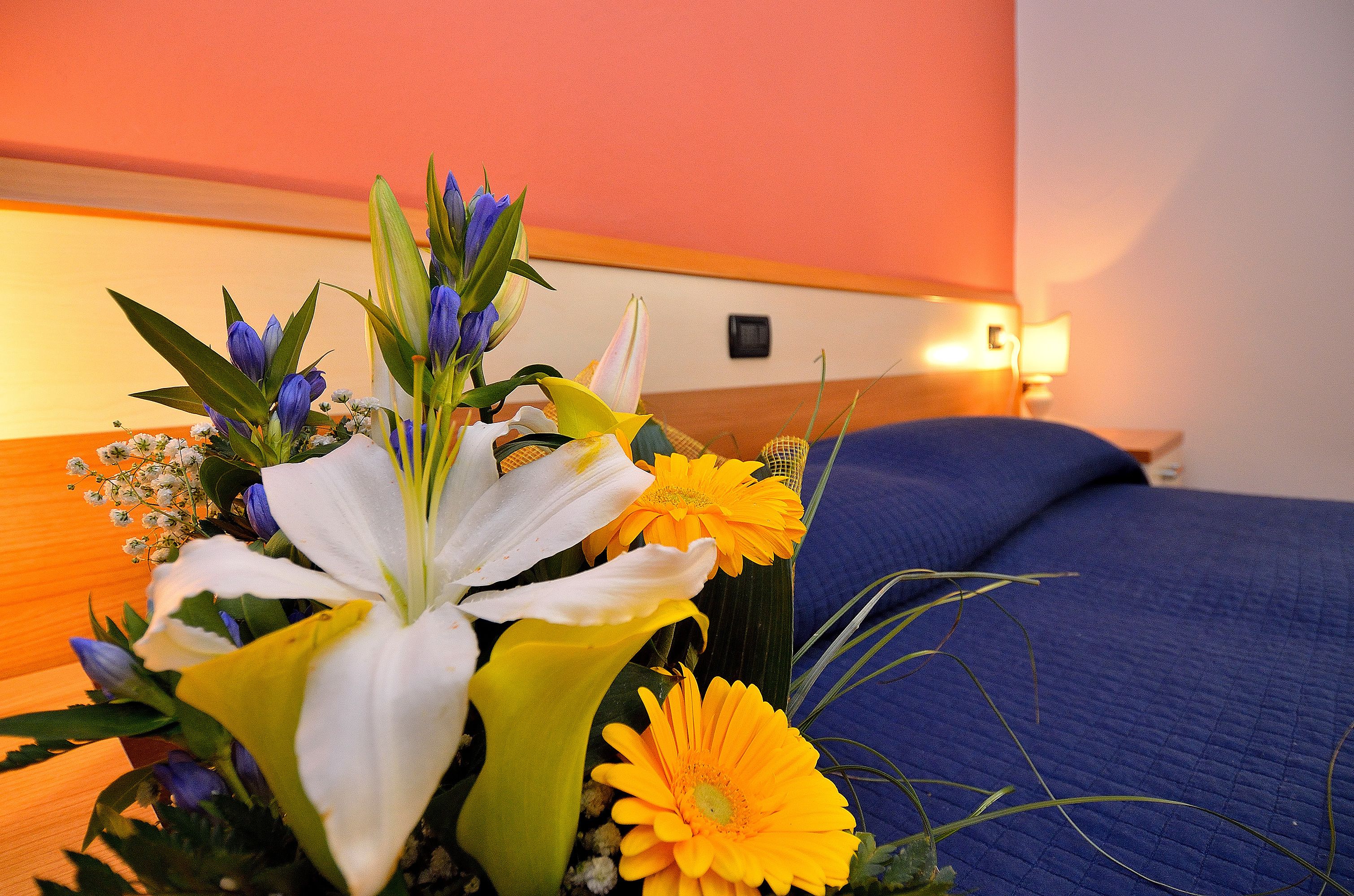 double or twin room, 2 bedrooms | desk, free wifi, bed sheets