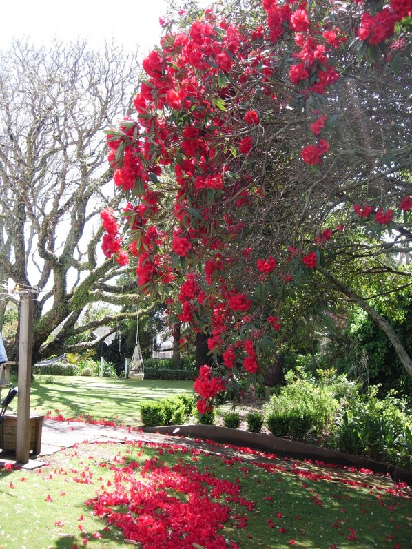 Jardin