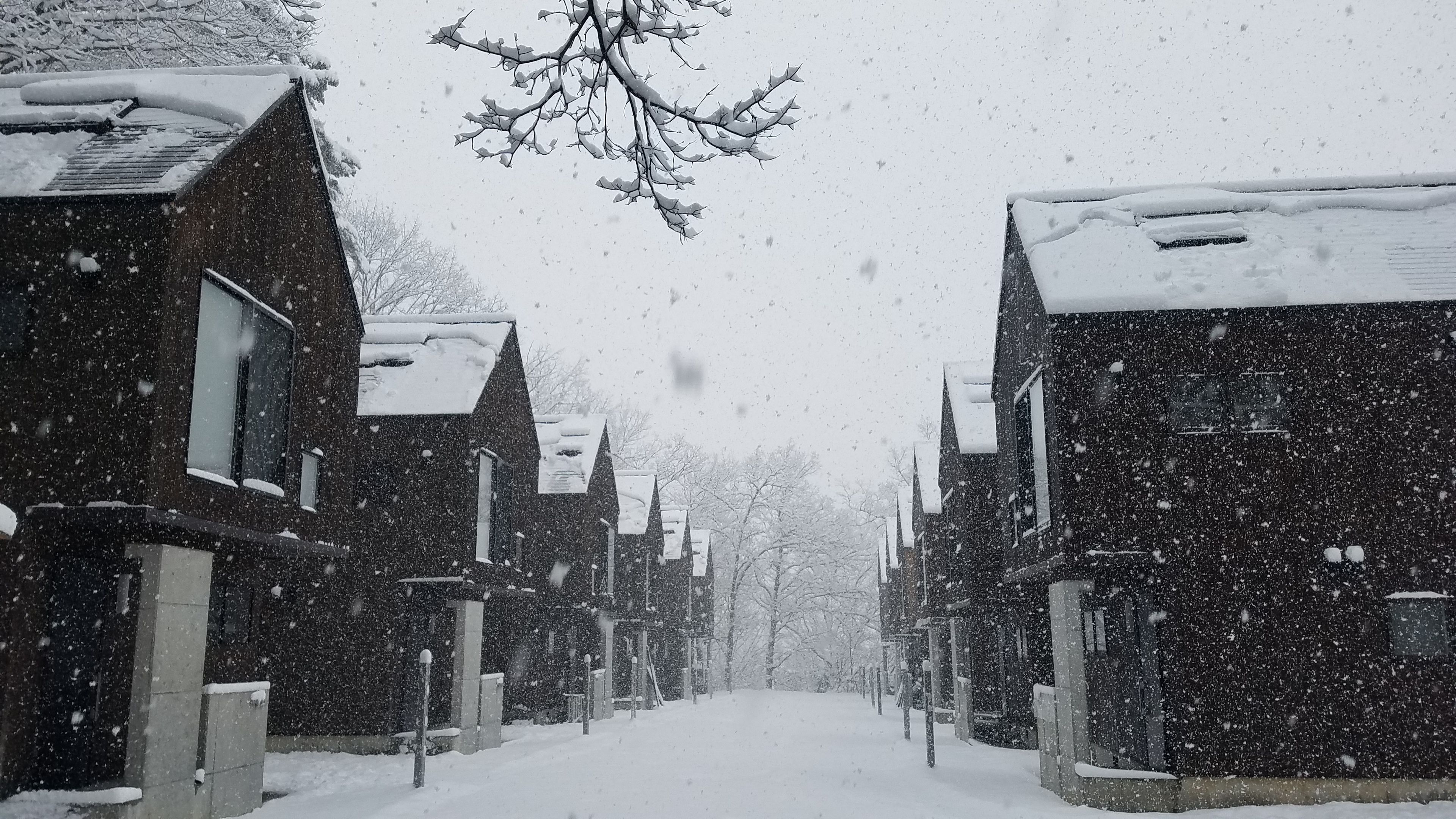 Una calle nevada con edificios residenciales.