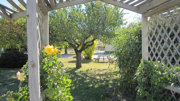 A wooden pergola structure with a picnic table underneath, surrounded by lush greenery and a tree.
