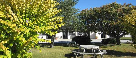 Kawasan BBQ/berkelah