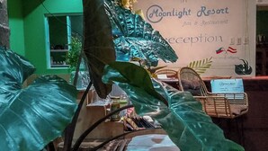 A reception area with a 'Moonlight Resort' sign, potted plants, and a wicker chair. - Moonlight Resort (Daanbantayan)