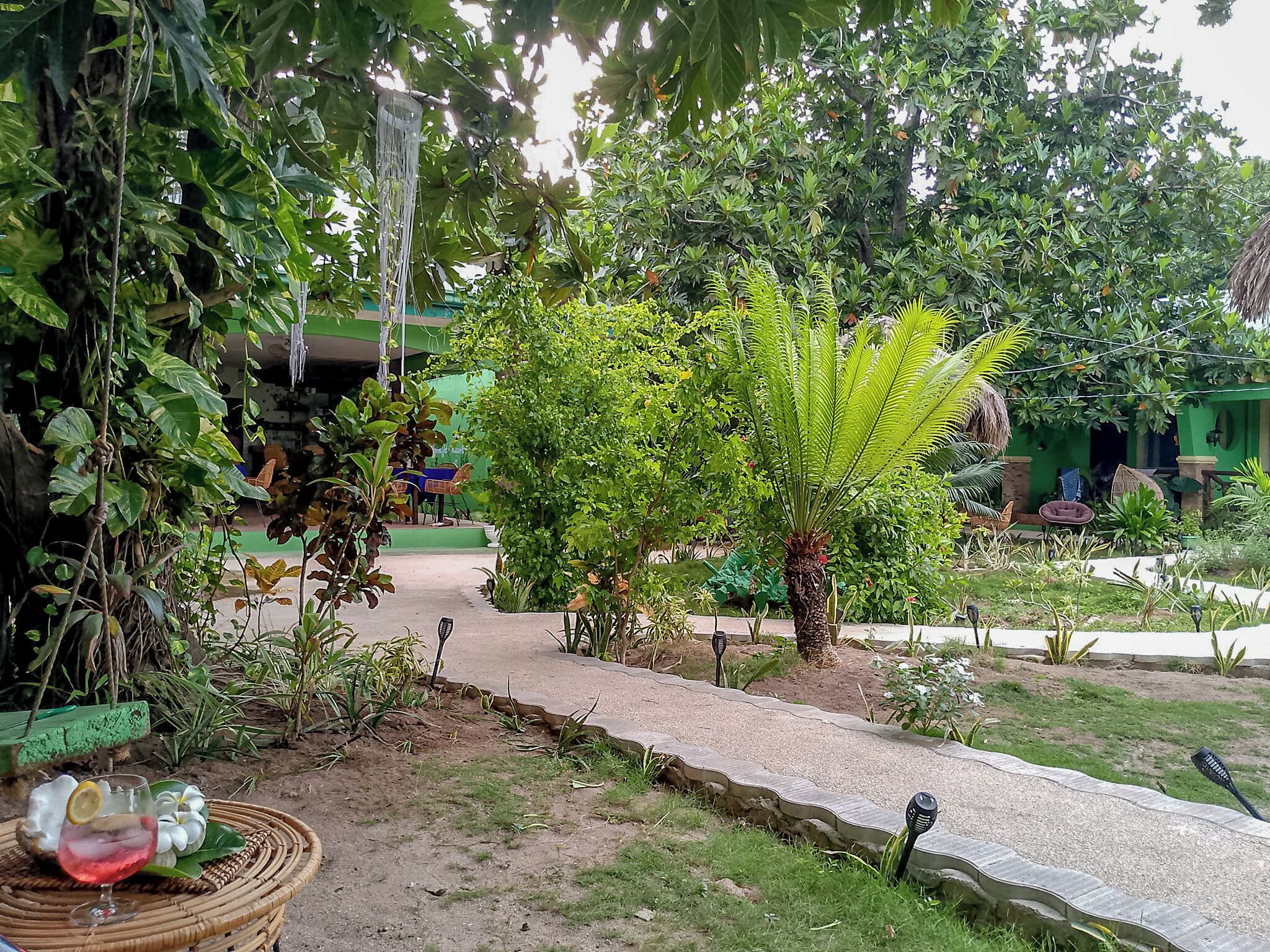 A garden area with a pathway, various plants, and outdoor seating.