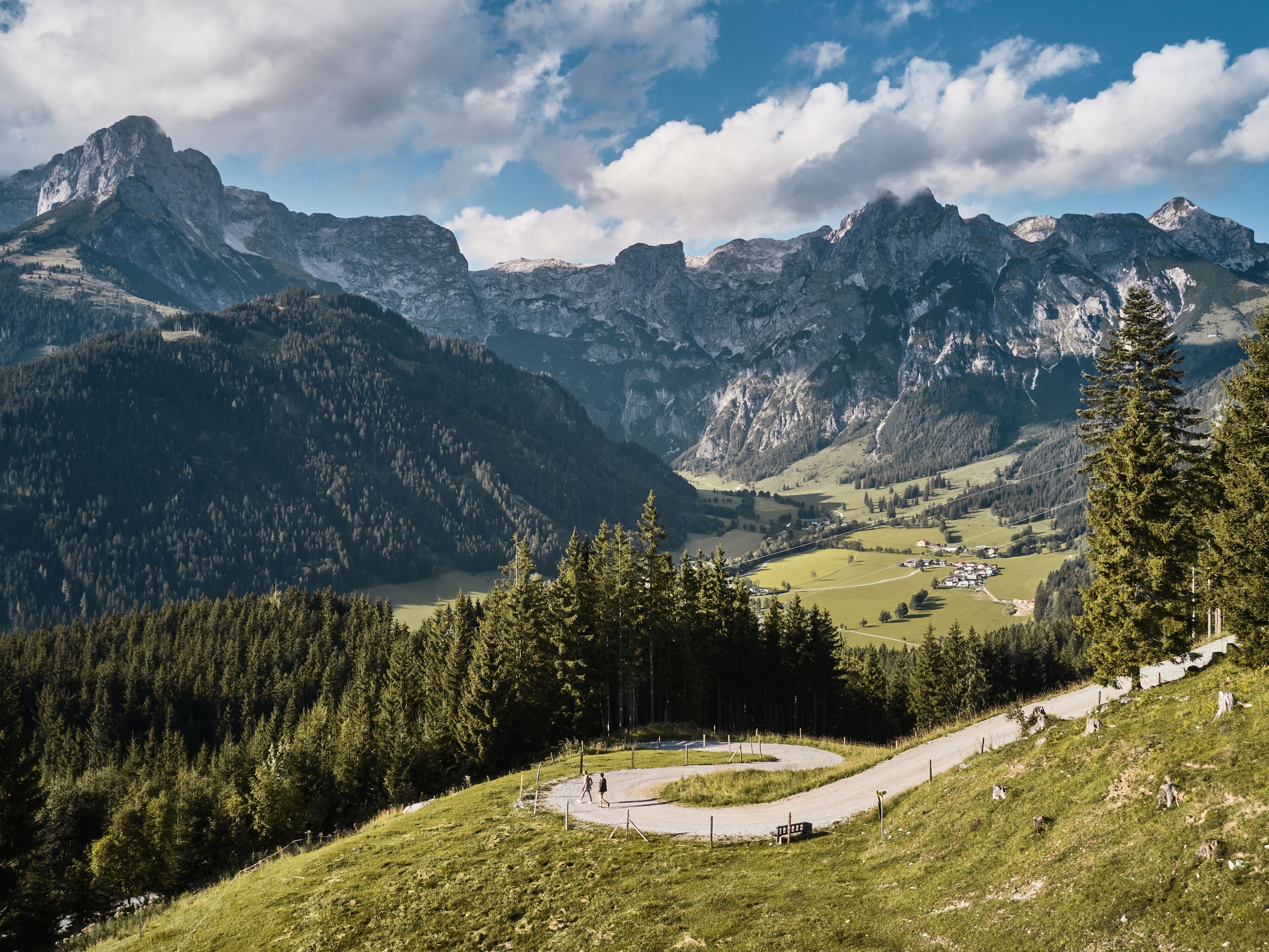 A mountainous landscape with a winding road, dense forest, and a small settlement in the valley.