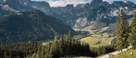 Un paisaje montañoso con un camino sinuoso, un bosque denso y un pequeño asentamiento en el valle.