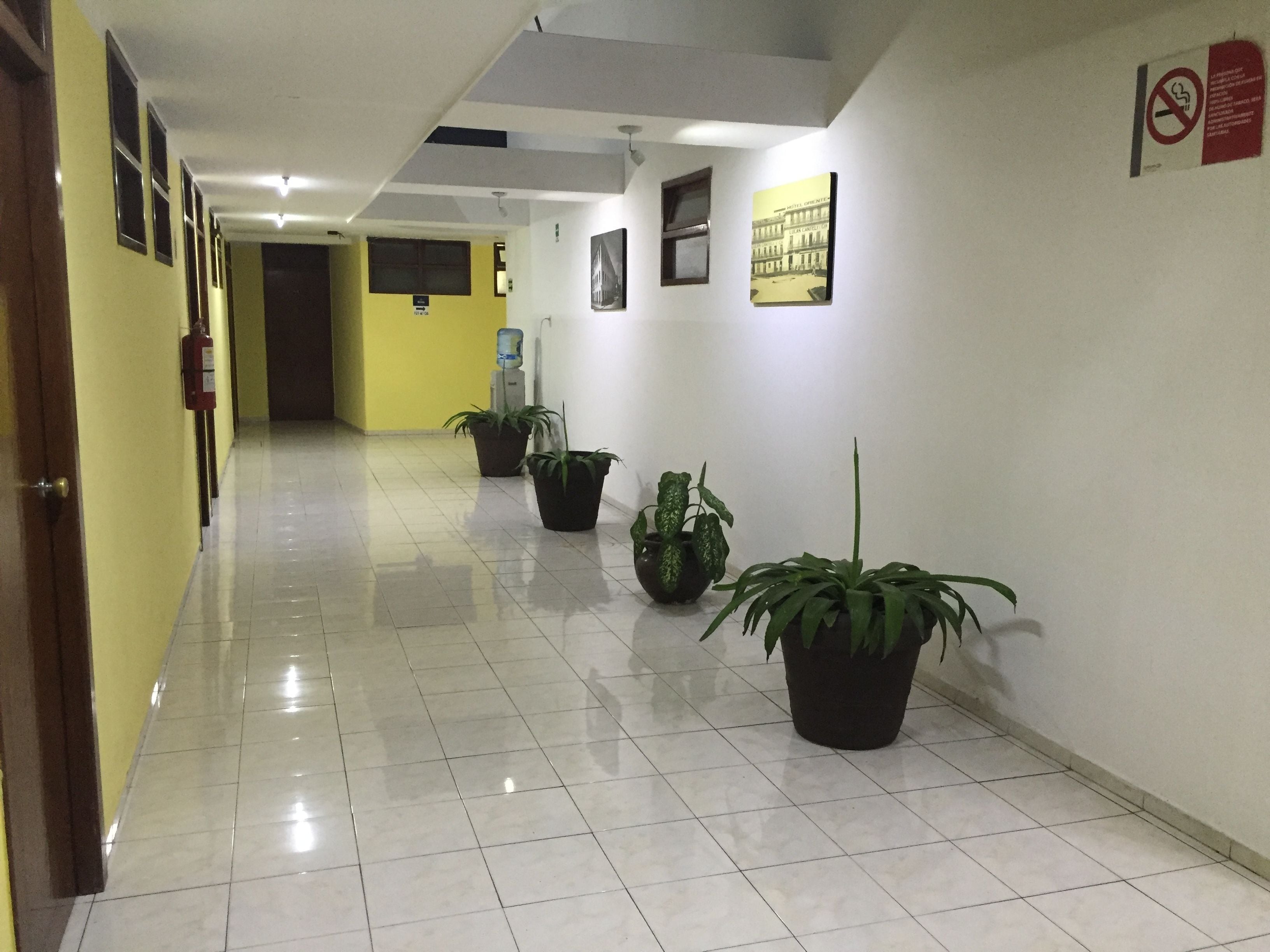 Photo - Hotel Oriente