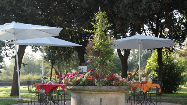 Un espacio al aire libre con mesas y sillas, rodeado de árboles y una jardinera grande con flores.