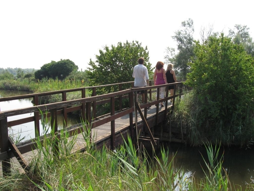 A wooden bridge over a body of water with dense greenery on both sides.