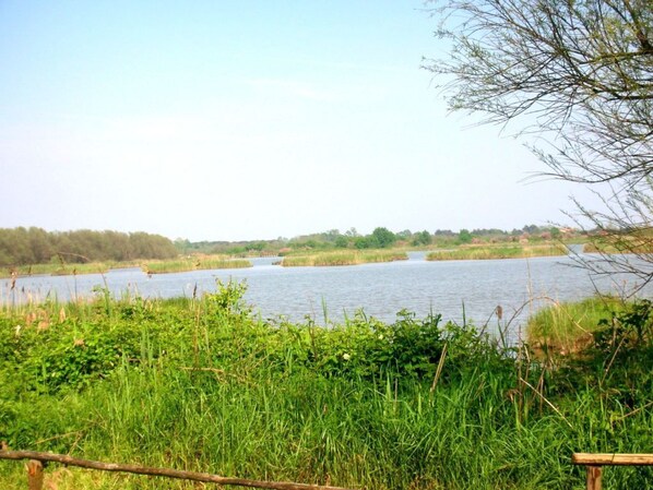 Un paisaje natural con una masa de agua, rodeado de vegetación y árboles.