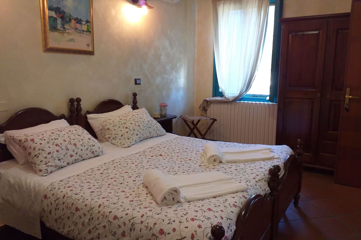 classic double room, park view | 1 bedroom, premium bedding, down duvets, pillow-top beds