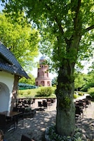 Un espacio al aire libre con mesas y sillas de piedra, un árbol grande y un edificio lejano con una cúpula.
