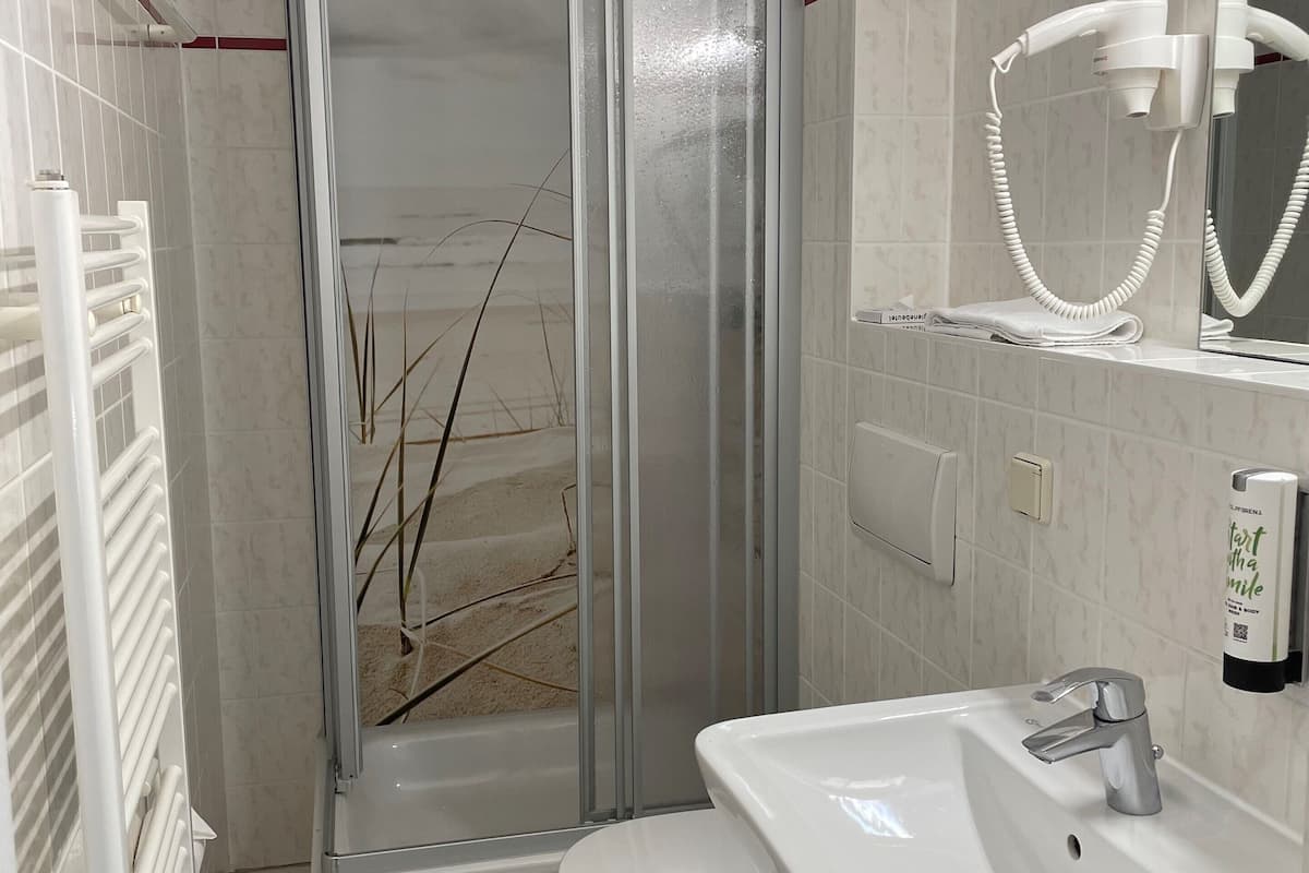 shower, free toiletries, hair dryer, towels