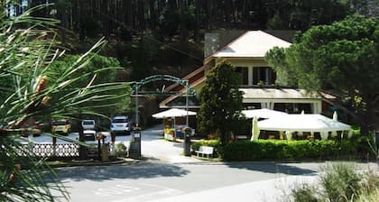 Hotel Monterosso Alto