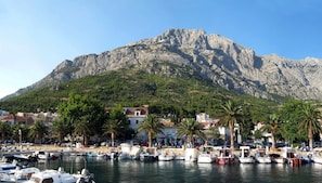 A marina with boats docked in front of a mountainous backdrop.