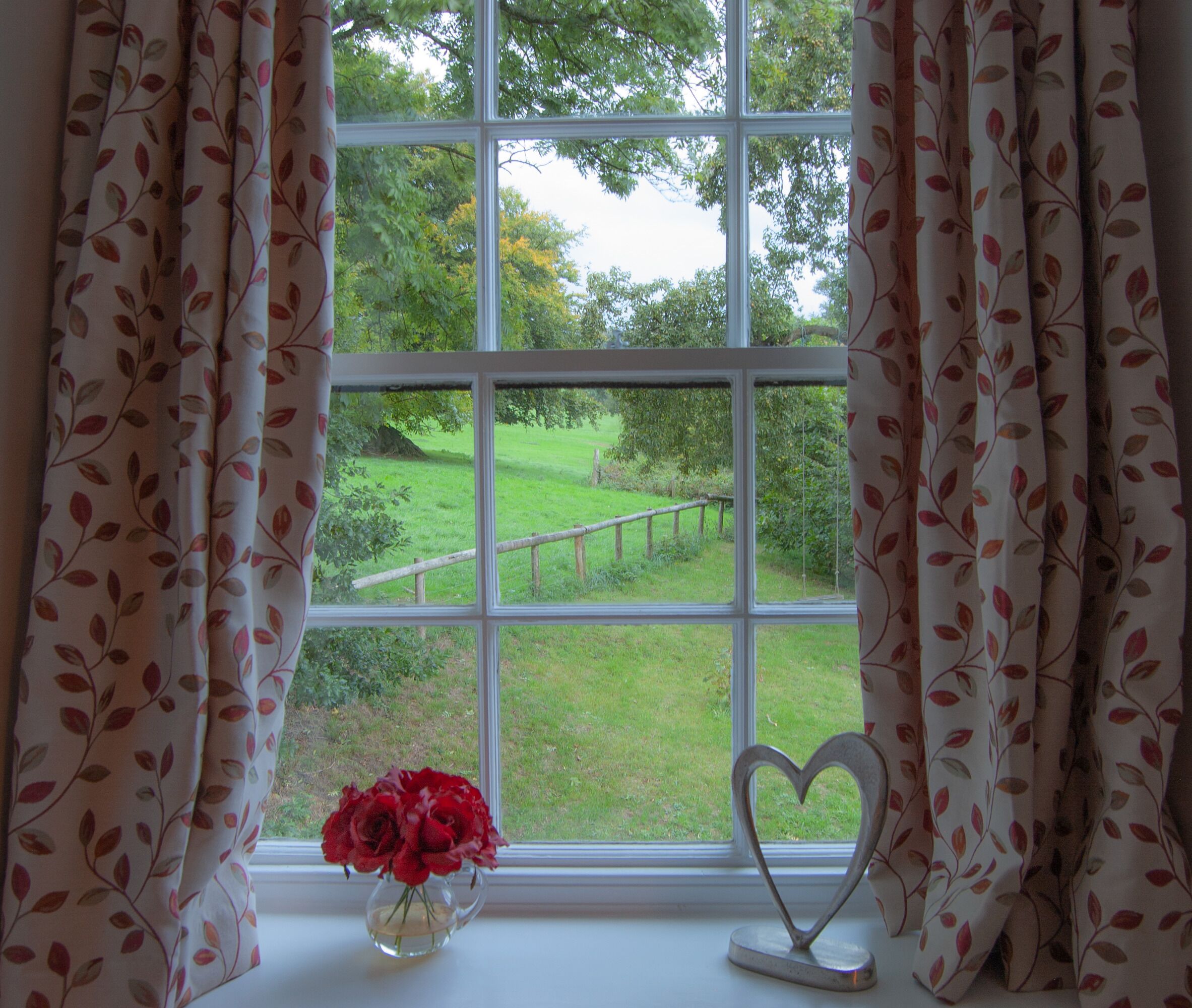 Superior King Room | View from room