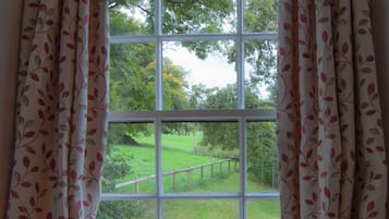 Superior King Room | View from room