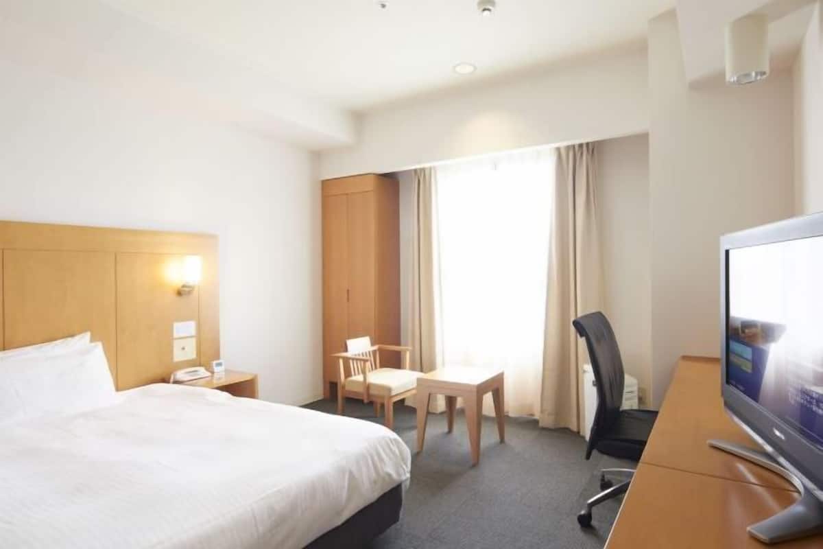Hypo-allergenic bedding, down duvets, desk, blackout curtains