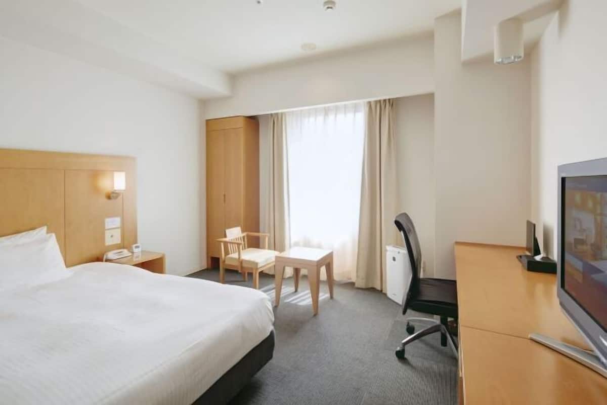 Hypo-allergenic bedding, down duvets, desk, blackout curtains