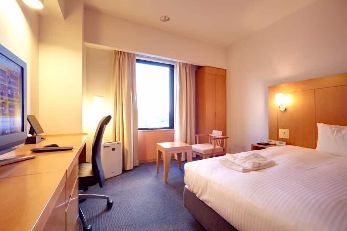 Hypo-allergenic bedding, down duvets, desk, blackout curtains