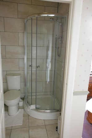 A glass-enclosed shower stall adjacent to a toilet in a bathroom with tiled walls and floor.