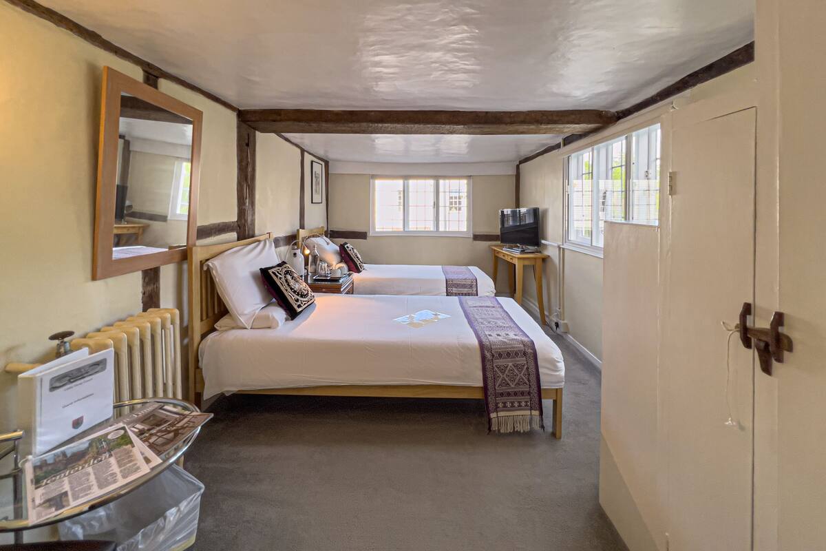 A bedroom with two beds, a mirror, a radiator, a television, and a window.