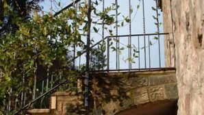 A stone bridge with a metal railing, surrounded by greenery.