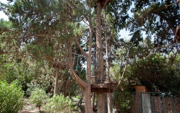 Una estructura de casa en el árbol unida a un árbol grande, rodeada de vegetación densa.