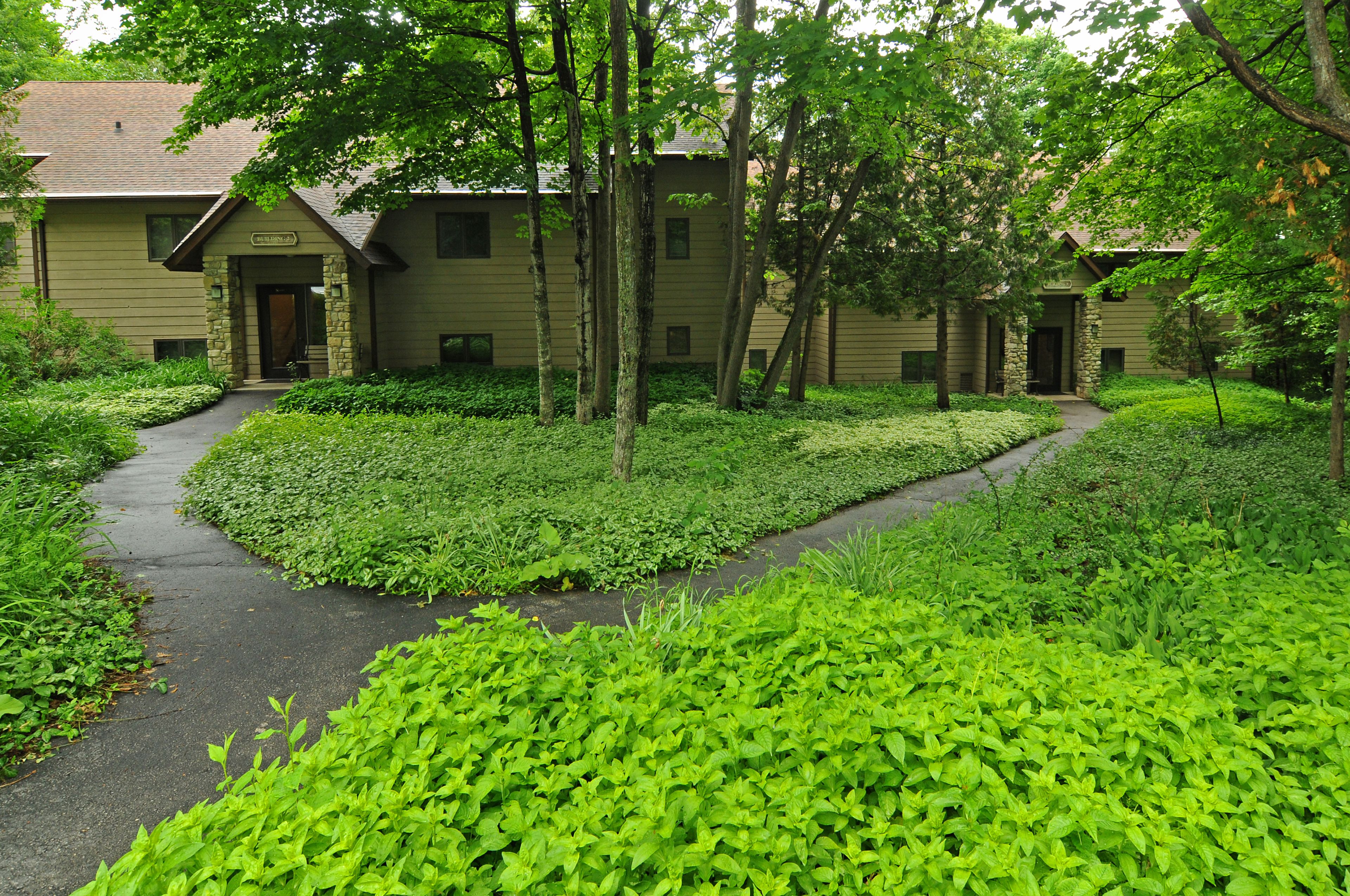 Ein Gebäude mit steinernen Zugängen, umgeben von üppiger Vegetation und einem Weg dorthin.