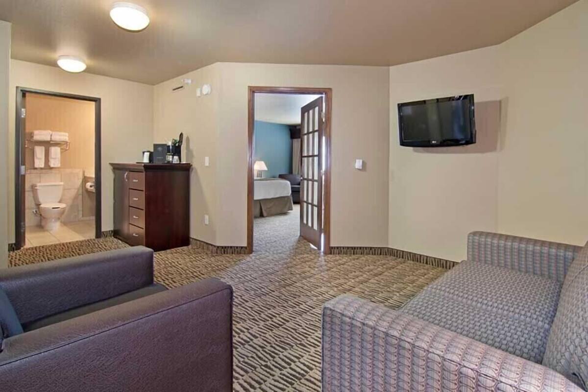 standard suite, 1 king bed, non smoking, jetted tub | living room | flat-screen tv