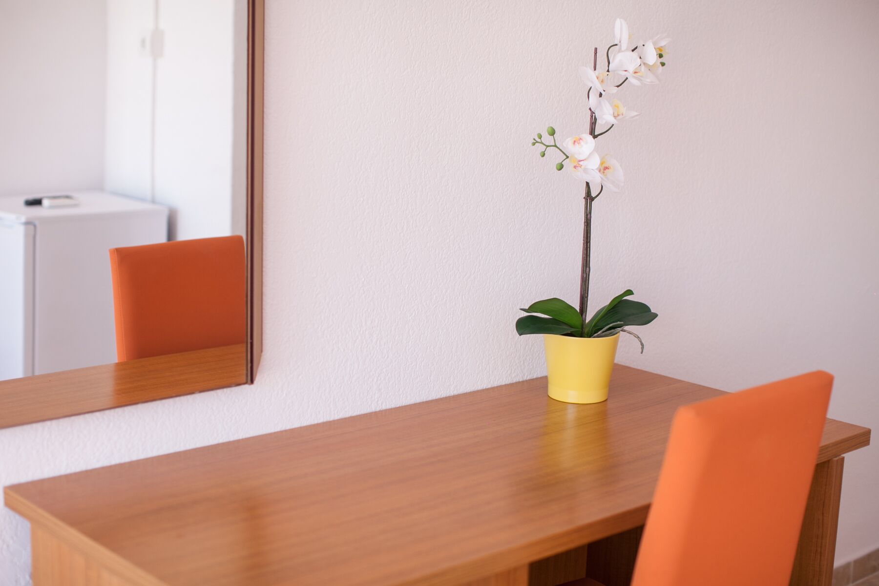 Foto - Hostal Los Pinos