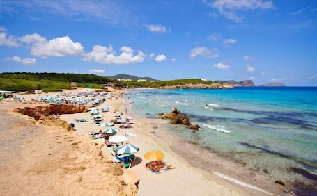Una spiaggia nelle vicinanze. Hostal Los Pinos