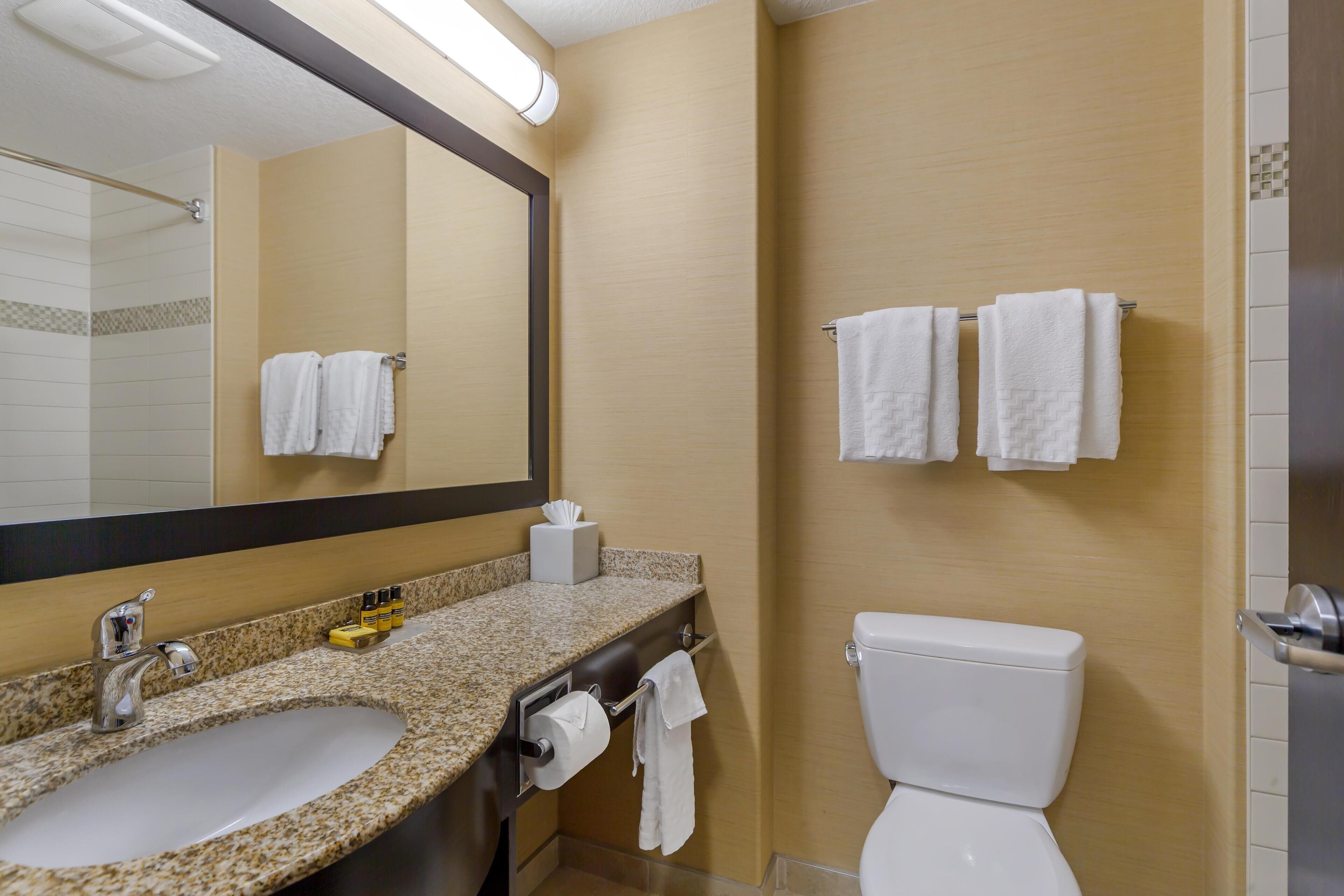A bathroom with a sink, mirror, toilet, and towel rack.