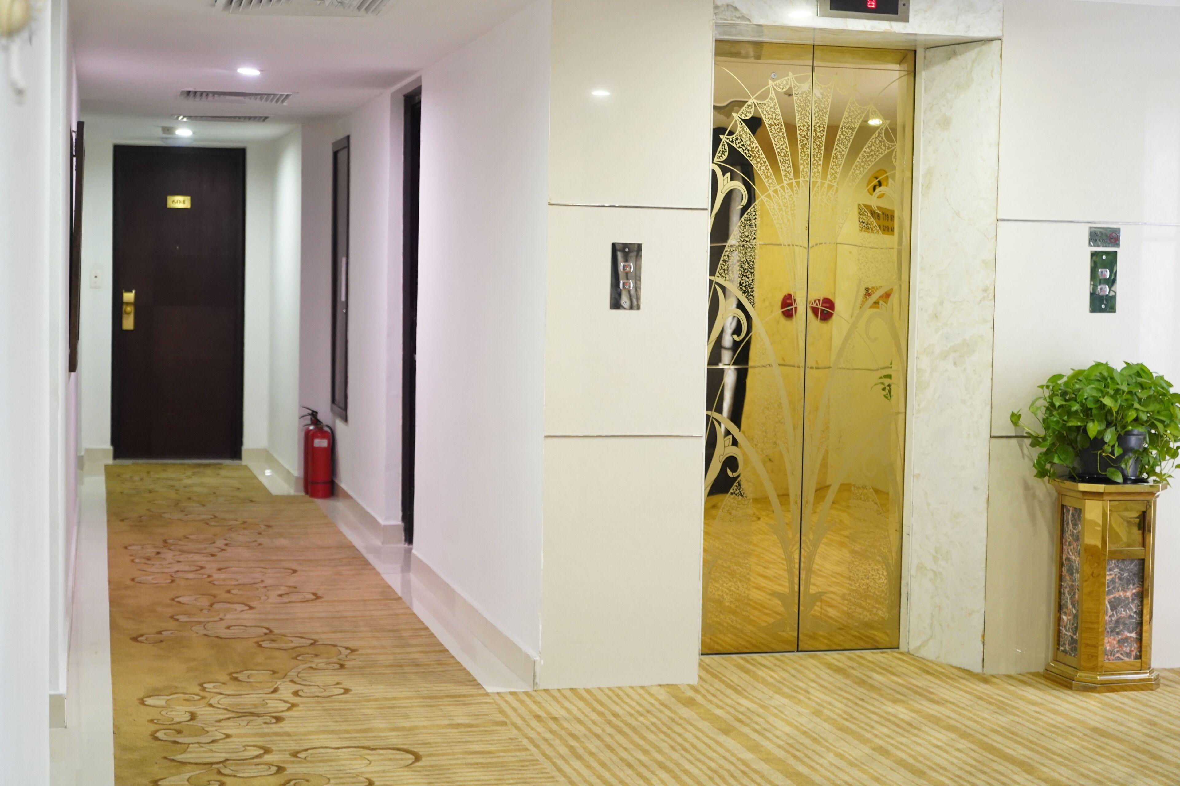 Un passadís amb una catifa estampada, un extintor, una porta amb un panell de vidre decoratiu i una planta en test.