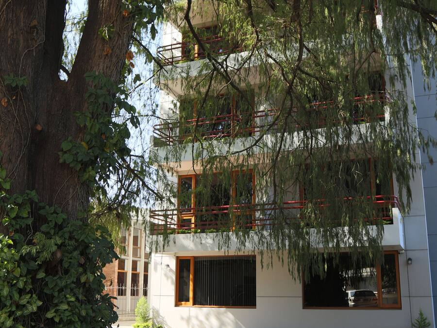 Un edificio moderno con un gran árbol en primer plano, un camino pavimentado y un coche aparcado cerca.
